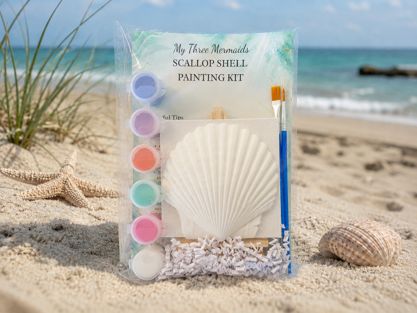 Scallop Shell Paint Kit